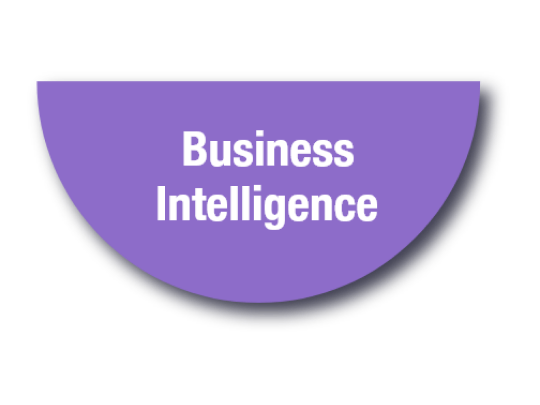 Business Intelligence Module